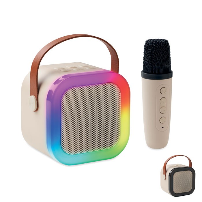 Karaoke set speaker